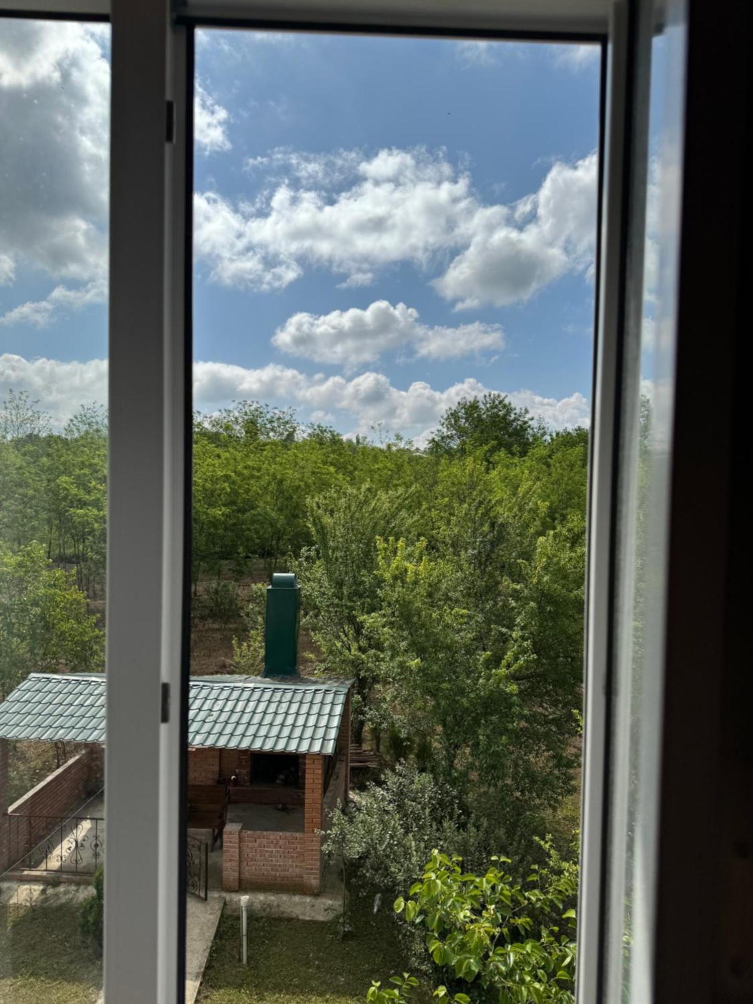 Guesthouse Saniko Martvili Exteriör bild