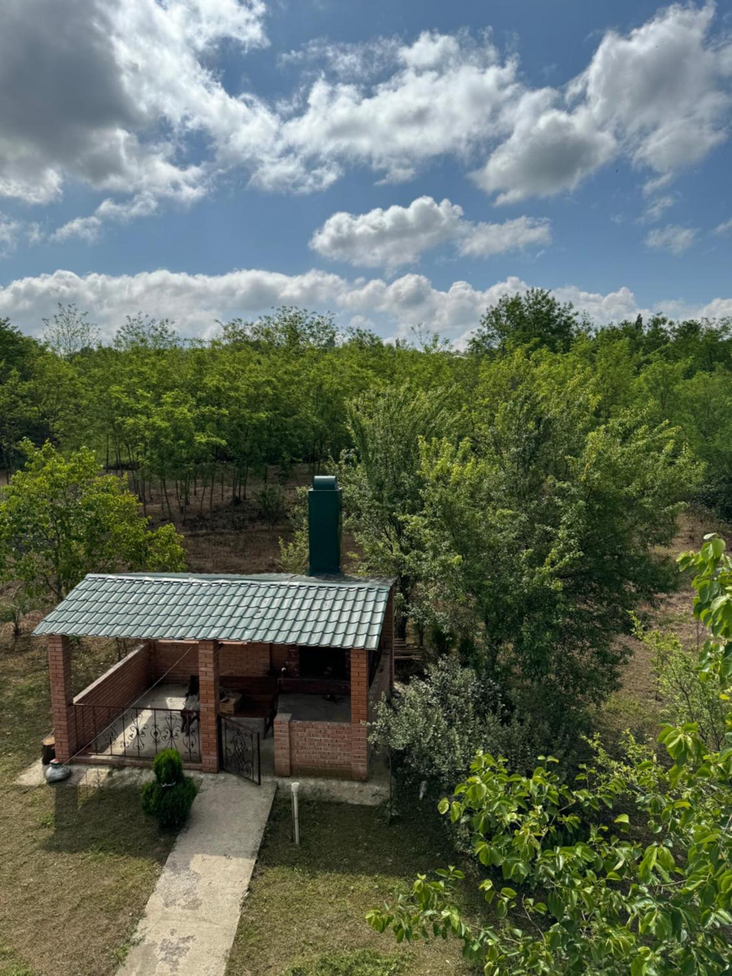 Guesthouse Saniko Martvili Exteriör bild