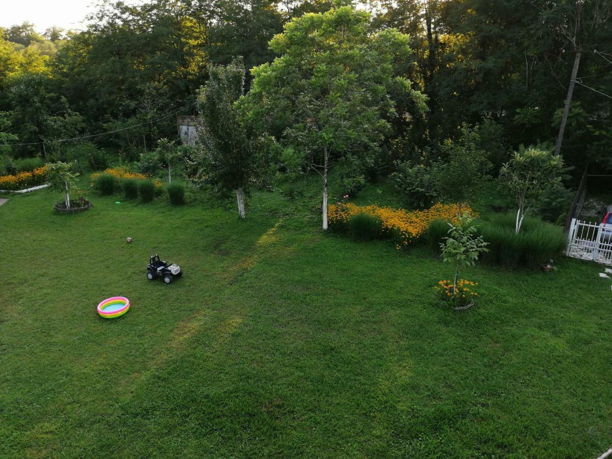 Guesthouse Saniko Martvili Exteriör bild